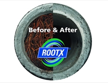 Rootx before and after picture