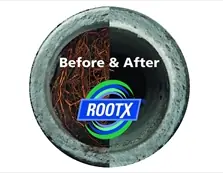 Rootx before and after picture